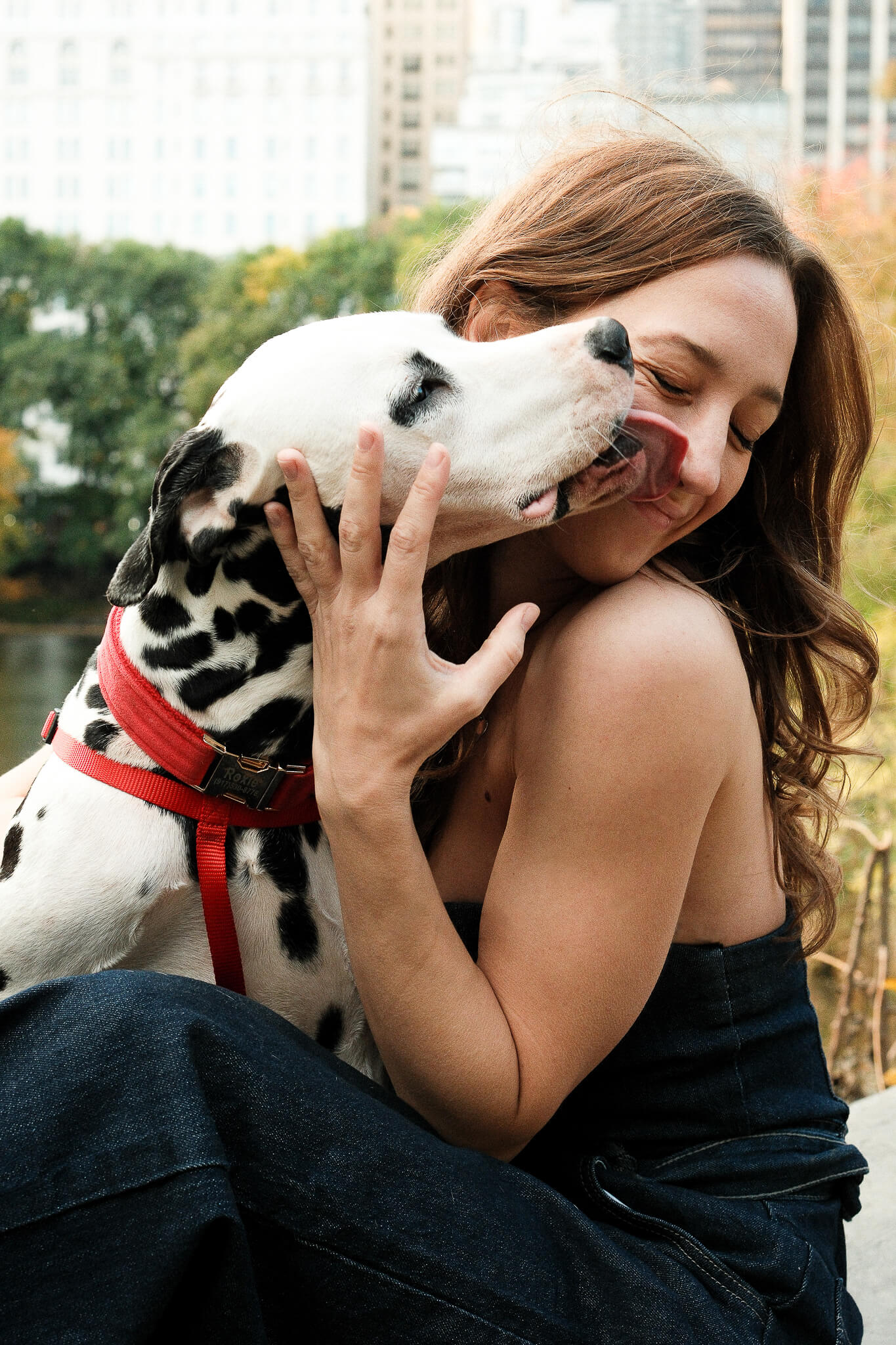 Pet Photography